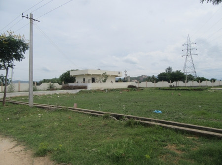 South Facing
